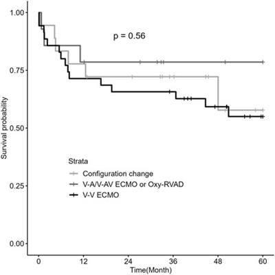 Outcomes of Lung Transplantation in Patients With Right Ventricular Dysfunction: A Single-Center Retrospective Analysis Comparing ECMO Configurations in a Bridge-to-Transplant Setting
